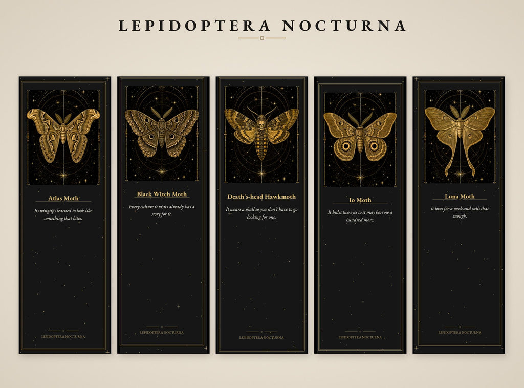 Lepidoptera Nocturna, Victorian Specimen Cabinet | Dark Academia Moth Bookmark | Gold Linework Printable | Five Species Illustrated