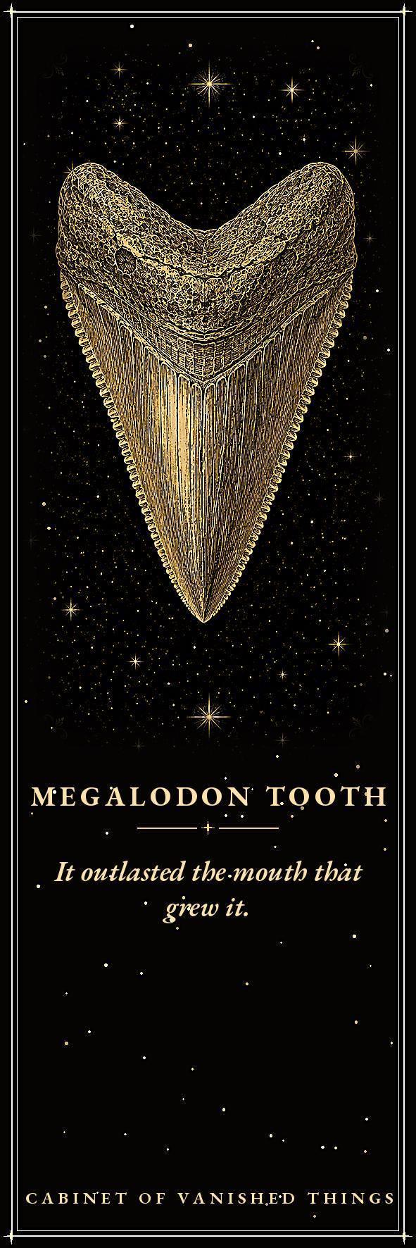 Cabinet of Vanished Things Bookmark, Dark Academia Fossil Art | Paleontology Page Marker | Magnetic or Standard
