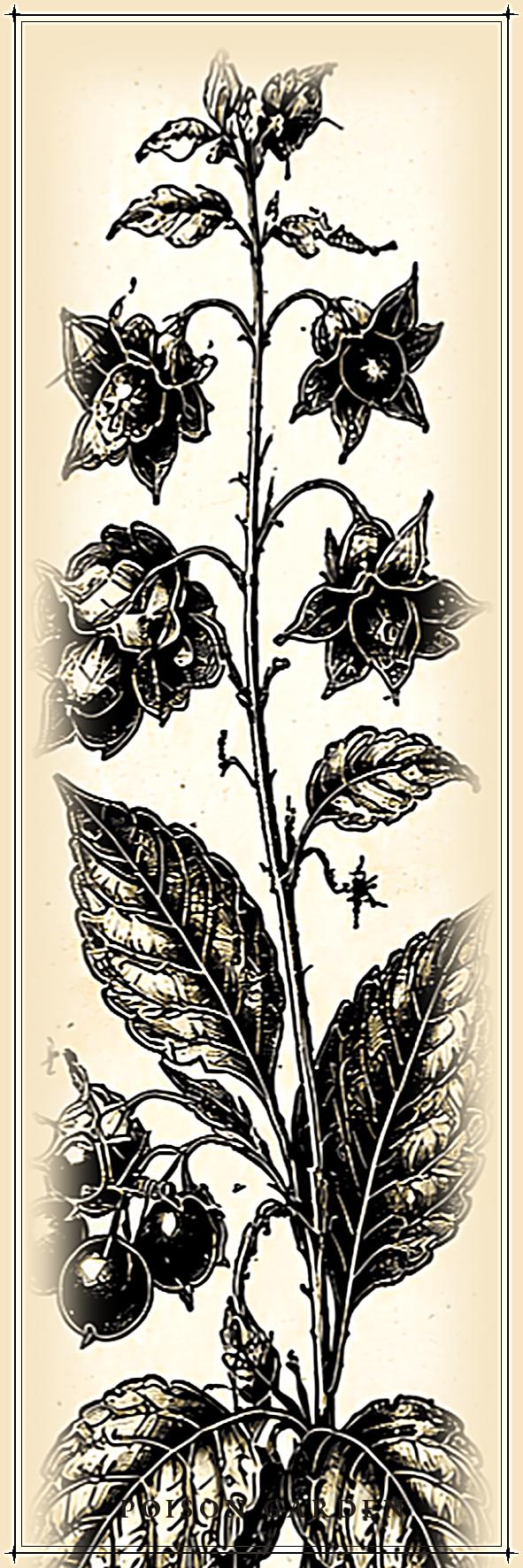 Poison Garden Bookmark | Dark Academia Botanical Bookmark | Standard or Magnetic Page Marker