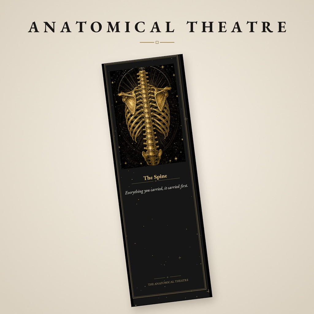 The Anatomical Theatre Printable Bookmarks | Dark Academia Vanitas Bookmark Set | Memento Mori Gothic Digital Download