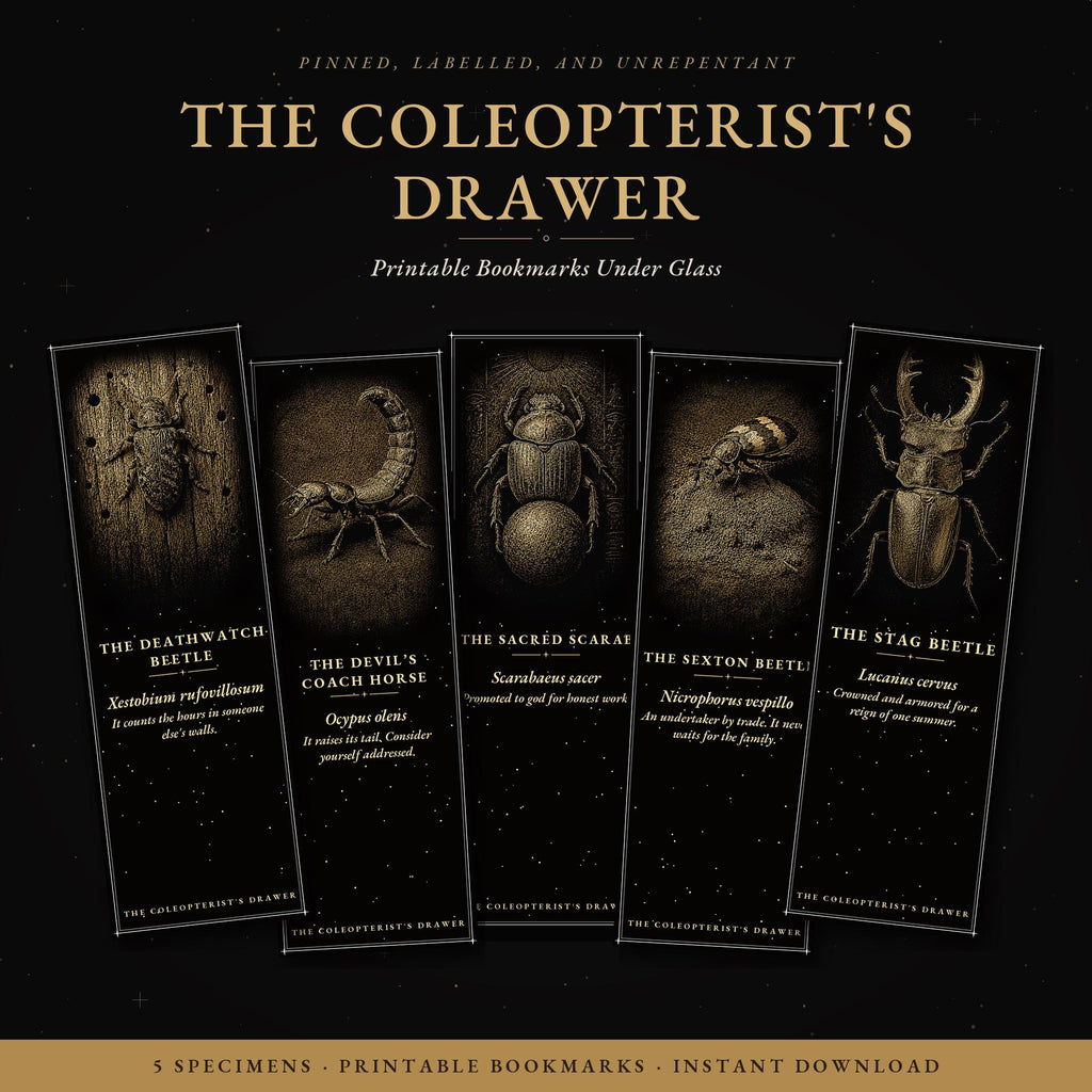 The Coleopterist's Drawer Printable Bookmarks | Dark Academia Gothic Bookmark Set | Beetle Digital Download