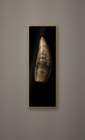 Whalebone Curiosities: Dark Academia Wall Art | Gothic Relics, Printable Digital Download | Sperm Oil Lamp, Whale Themed Illustrations