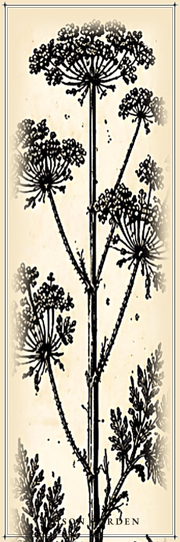 The Poison Garden Botanical Bookmark | Dark Academia Witchy | Printable Digital Download | Gothic Plant Illustration | Book Lover Gift