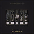 The Bones That Sang at Midnight Bookmark | Dark Academia Set of 5 | Standard or Magnetic | Gothic Cabinet of Curiosities