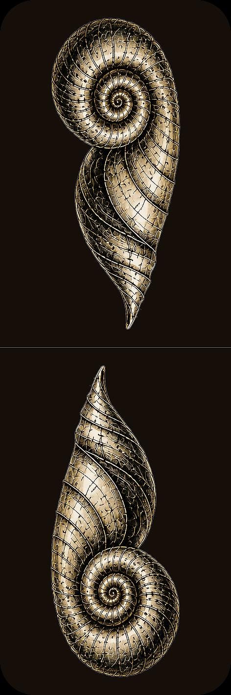 Recovered from Impossible Seas Bookmark | Dark Academia Set of 5 | Standard or Magnetic | Gothic Cabinet of Curiosities