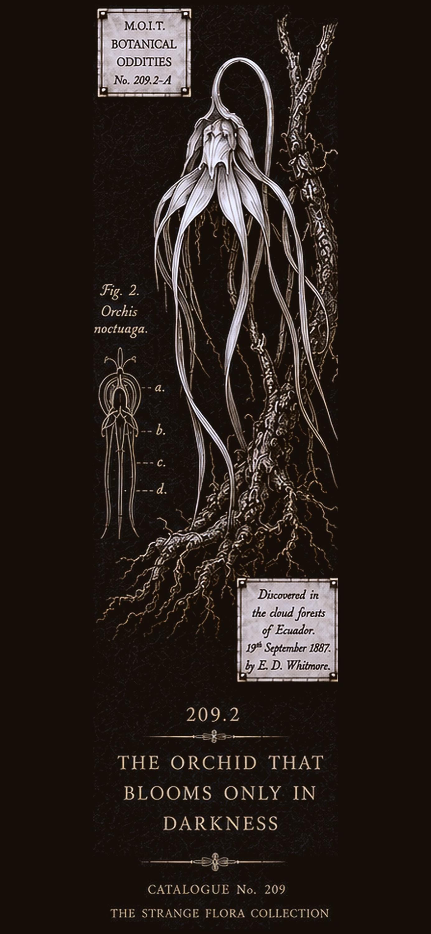 Strange Flora Phone Wallpaper Bundle | Dark Academia Lock Screen, Botanical Digital Art | iPhone & Android