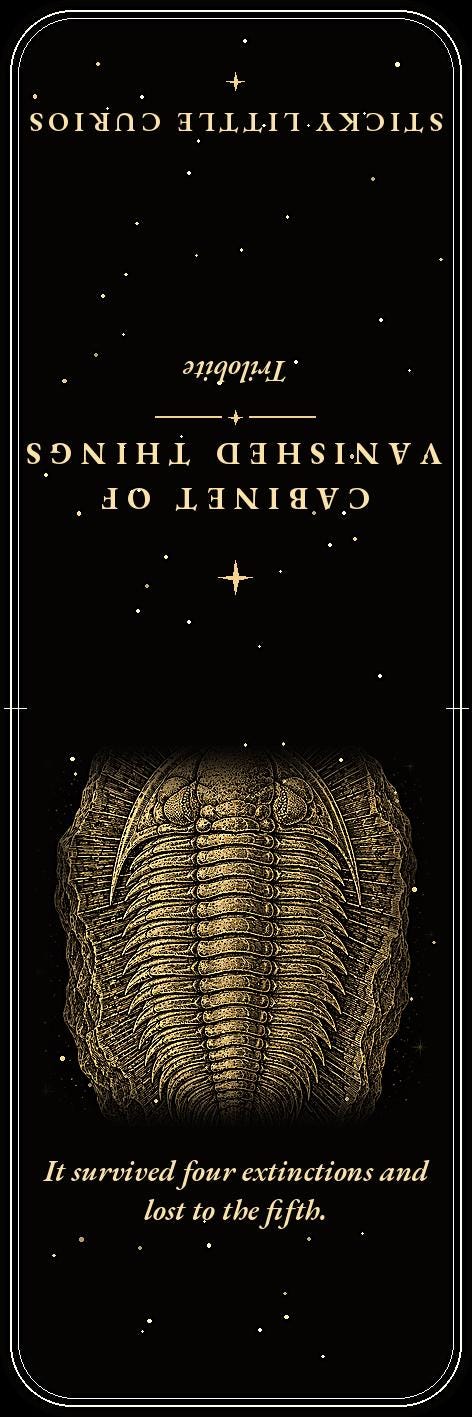 Cabinet of Vanished Things Bookmark | Dark Academia Fossil Bookmark | Standard or Magnetic Page Marker