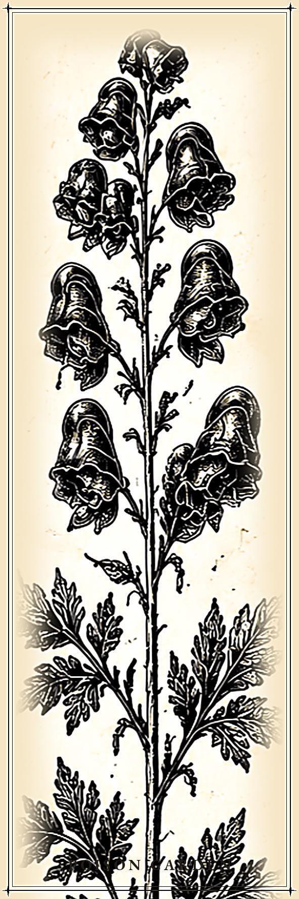 Poison Garden Bookmark, Dark Academia Botanical | Witchy Herbal Art | Magnetic Page Marker