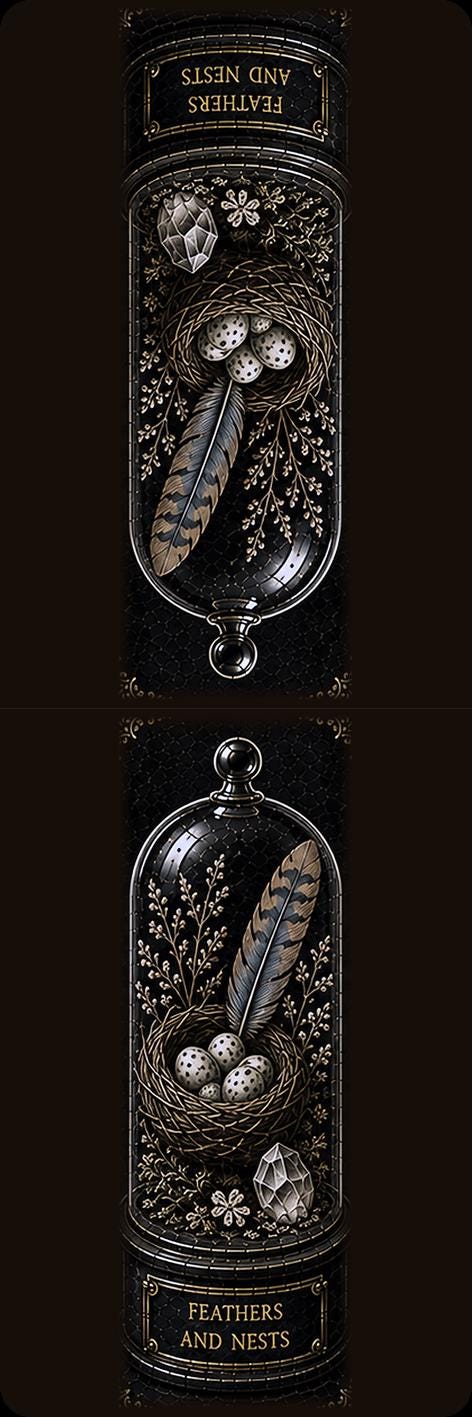 Wonders of the Wild Bookmark | Dark Academia Set of 5 | Standard or Magnetic | Gothic Cabinet of Curiosities