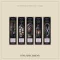 The Watcher at the Threshold Bookmark | Dark Academia Set of 5 | Standard or Magnetic | Gothic Cabinet of Curiosities