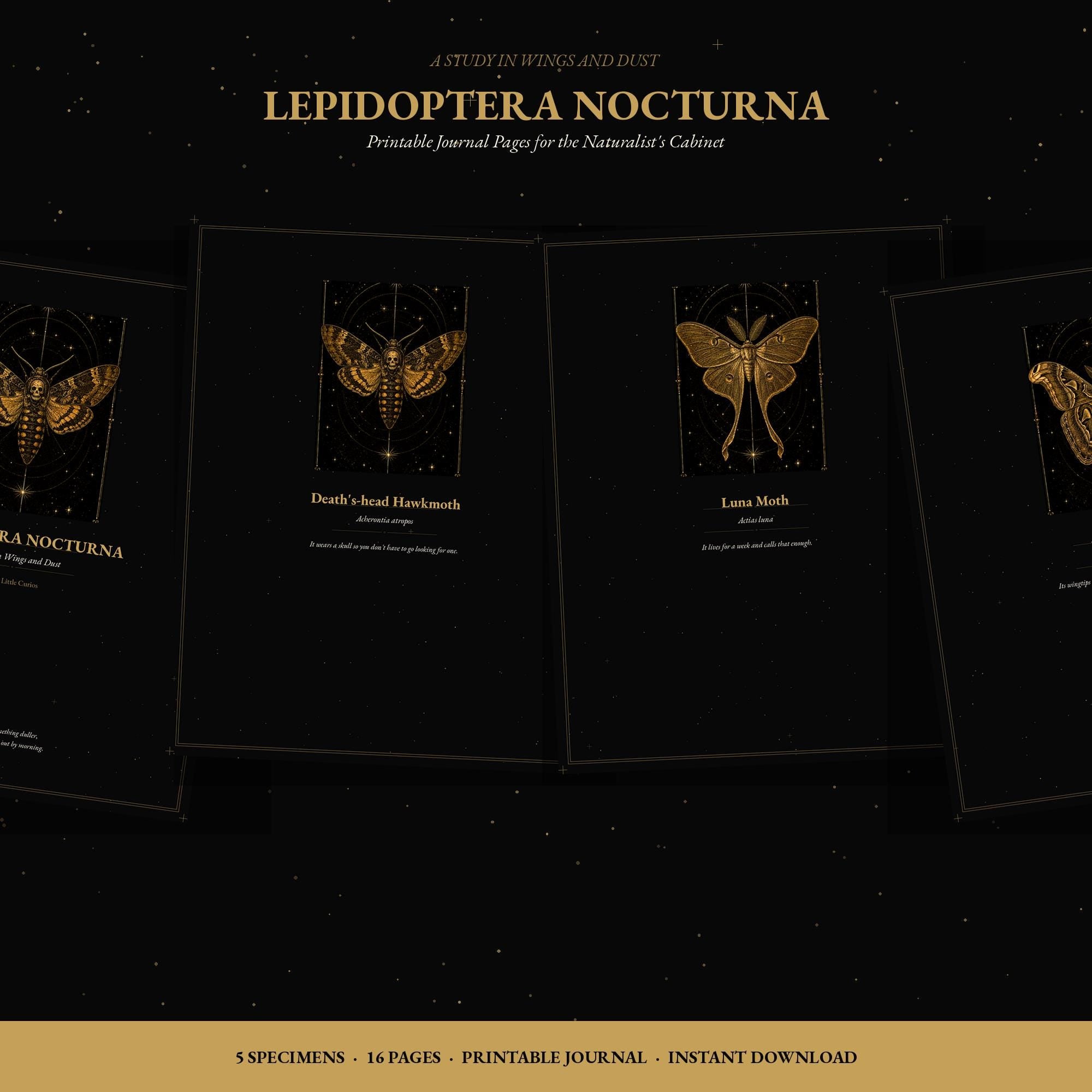 Lepidoptera Nocturna Printable Journal Pages | Dark Academia Dot Grid & Lined Paper | Moth Specimen Notebook Inserts