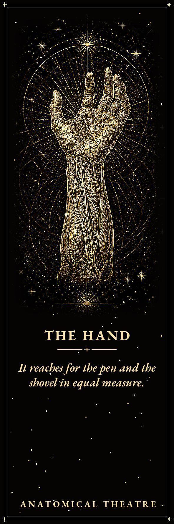 Anatomical Theatre Bookmark, Memento Mori Art | Dark Academia | Gold On Black | Page Marker | Vanitas Gift