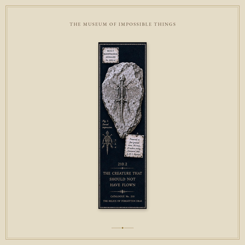 Relics of Forgotten Eras Bookmark | Dark Academia Set of 5 | Standard or Magnetic | Gothic Cabinet of Curiosities